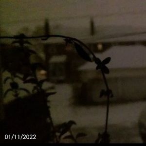 Meet your Posher, Ren